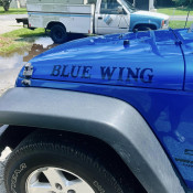 Car Graphics Blue WIng